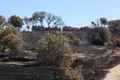 El Desolador Paisaje De Mámoles Tras La Peor Parte Del Incendio De Fermoselle (30)