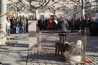 Unas cien personas se concentran contra la "pésima" Ley de la reforma local
