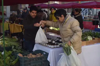 Mercado Ecológico. Archivo