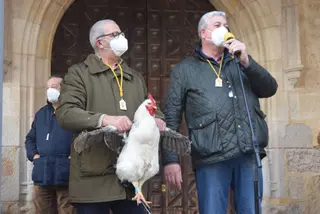 Procesión de San Antón y bendición de animales