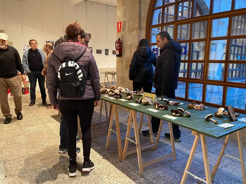 Exposición micológica