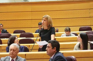 Sandamian senado buena