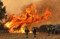 José Vicente Ical. Las Llamas Del Incendio Forestal Declarado En Fermoselle este verano.