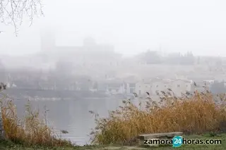 Niebla y frío por Navidad