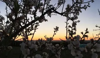 El fin de semana mantiene las temperaturas agradables