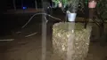 Inundaciones en Fuentespreadas