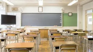Aula vaci