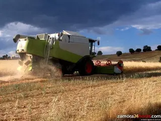 Ni siquiera la incorporación de jóvenes al campo ha impedido que siga bajando el número de profesionales agrarios en 2013