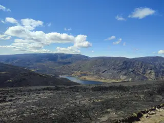 Sanabria tras incendio. CrioSanabria