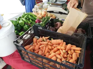 Mercadoecologico7