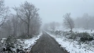 Nieve en Sanabria. Archivo