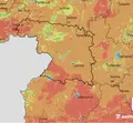 Zamora entra en aviso amarillo por altas temperaturas y riesgo extremo por incendios forestales