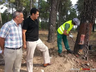 La Junta aprueba el cambio a modelo multifuncional de la biorrefinería de Barcial