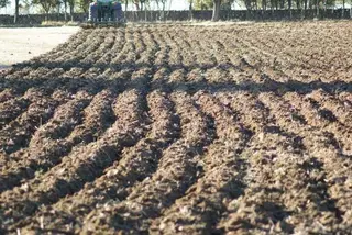 IU incita a la Diputación a “tomar medidas” para paliar el impacto de la sequía