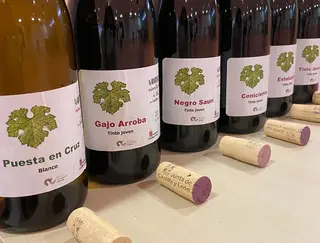 Vino