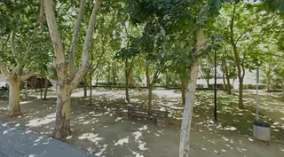 Parque de Olivares. Archivo