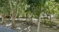 Parque de Olivares. Archivo