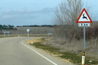      Carretera provincia Zamora. Archivo