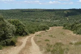 Paraje en Monte la Reina