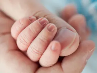 Mano bebe