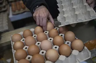 Huevos. Ep