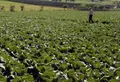 Imagen de un agricultor trabajando