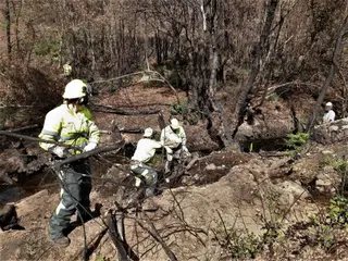 Actuación de la CHD en la zona afectada por el incendio de la Sierra de la Culebra