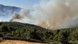 Rmestudios / ICAL . Incendio en Mombeltrán declarado Nivel 2 | Rmestudios