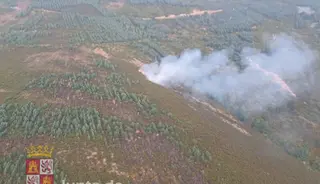 Incendio en Rosinos
