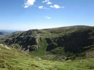 IMG 0163 (Copy)