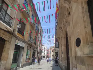 El verde y rojo vuelan sobre esta céntrica calle de Zamora por San Pedro.