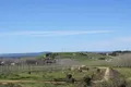 Yacimiento El Castro de Camarzana