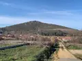 Camino en Otero de Bodas