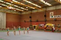 Exhibición de fin de curso CDR Mapecca
