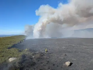 Incendio de La Tejera. BRIF Tabuyo. Archivo