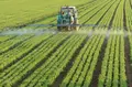 Un agricultor en el campo. Archivo