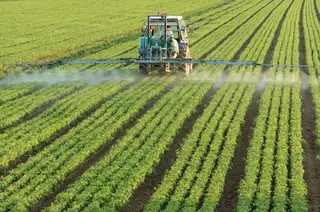 Un agricultor en el campo. Archivo