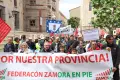 Una concentración de Zamora en Pie. Archivo