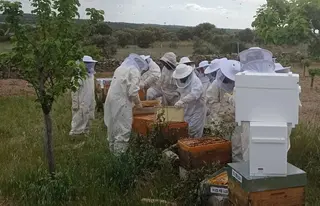 Curso de apicultura. Archivo