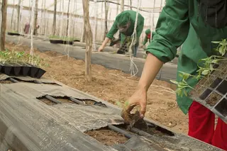 20200521 08 09 46 agricultores