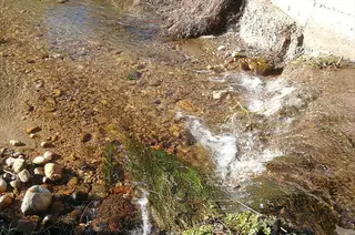 Acequia leon agua chr duero