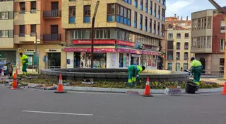 Los operarios cambian las flores en la Plaza de Alemania de cara a Semana Santa