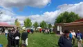 Romería de Navianos de Valverde 