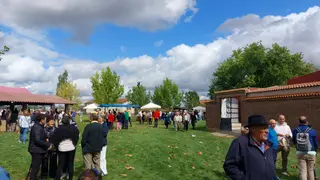 Romería de Navianos de Valverde 