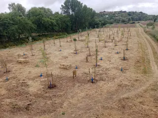 Finalizan las obras de renaturalización en el entorno de Olivares
