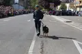 Autor del crimen en el desfile de la Guardia Civil de Zamora por el Día del Pilar 2023 | Fotos: MARÍA LORENZO -Z24H