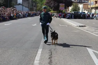 Autor del crimen en el desfile de la Guardia Civil de Zamora por el Día del Pilar 2023 | Fotos: MARÍA LORENZO -Z24H