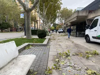 Efectos del temporal Kirk en Zamora