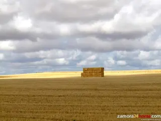 Castilla y León y otras cinco comunidades autónomas coordinan sus acciones para el cambio demográfico