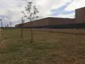 Parecla renaturalizada en Vistalegre